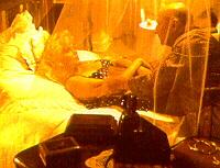 Erland and Pleasence